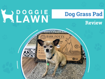DoggieLawn Dog Grass Pad